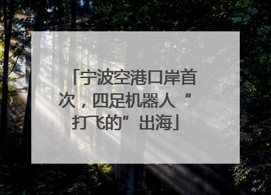 宁波空港口岸首次，四足机器人“打飞的”出海