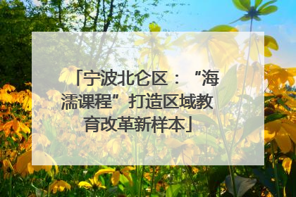 宁波北仑区：“海濡课程”打造区域教育改革新样本