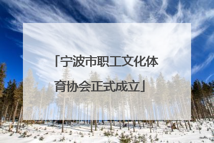 宁波市职工文化体育协会正式成立