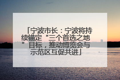宁波市长：宁波将持续锚定“三个首选之地”目标，推动博览会与示范区互促共进