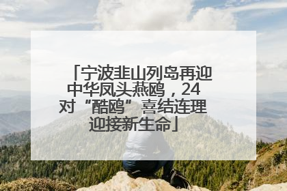 宁波韭山列岛再迎中华凤头燕鸥，24对“酷鸥”喜结连理迎接新生命