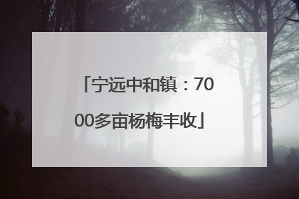 宁远中和镇：7000多亩杨梅丰收