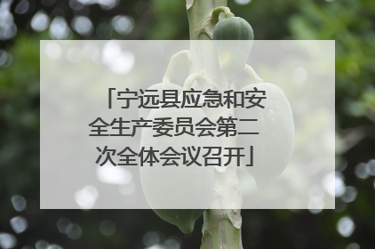 宁远县应急和安全生产委员会第二次全体会议召开