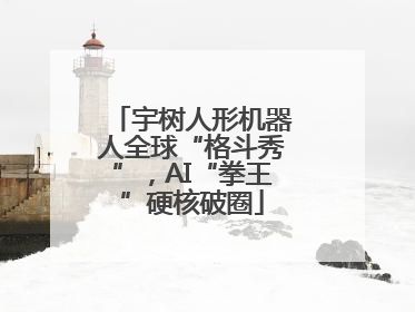 宇树人形机器人全球“格斗秀”，AI“拳王”硬核破圈