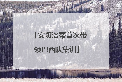 安切洛蒂首次带领巴西队集训