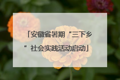 安徽省暑期“三下乡”社会实践活动启动