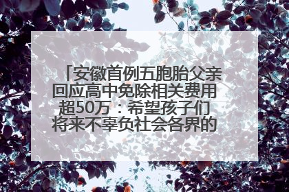 安徽首例五胞胎父亲回应高中免除相关费用超50万：希望孩子们将来不辜负社会各界的帮助与支持