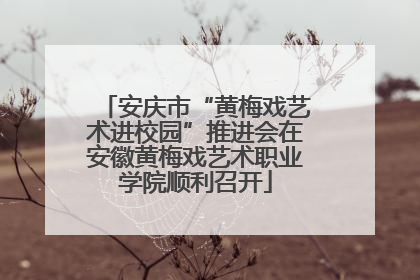 安庆市“黄梅戏艺术进校园”推进会在安徽黄梅戏艺术职业学院顺利召开