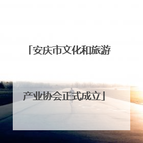 安庆市文化和旅游产业协会正式成立