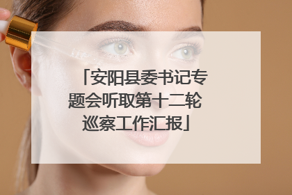 安阳县委书记专题会听取第十二轮巡察工作汇报