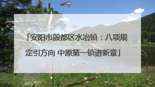 安阳市殷都区水冶镇：八项规定引方向 中原第一镇谱新章
