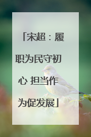 宋超：履职为民守初心 担当作为促发展