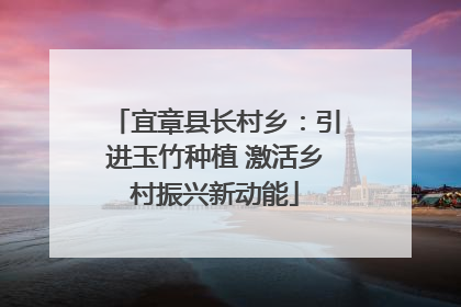 宜章县长村乡：引进玉竹种植 激活乡村振兴新动能