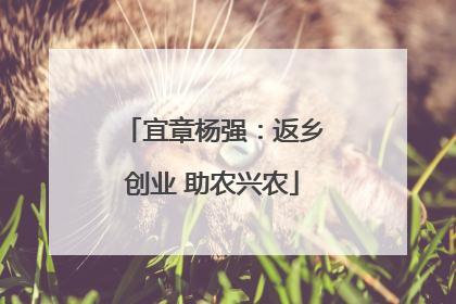 宜章杨强：返乡创业 助农兴农