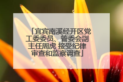 宜宾南溪经开区党工委委员、管委会副主任周虎 接受纪律审查和监察调查