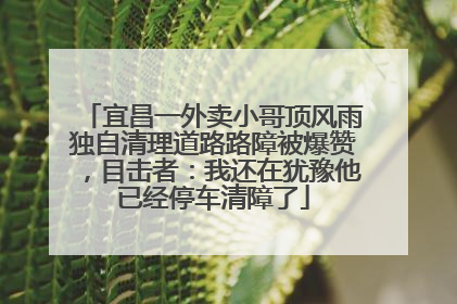 宜昌一外卖小哥顶风雨独自清理道路路障被爆赞，目击者：我还在犹豫他已经停车清障了