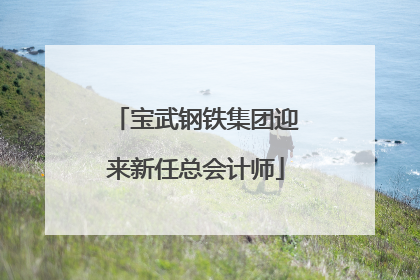 宝武钢铁集团迎来新任总会计师