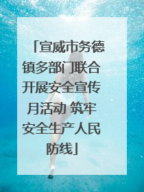 宣威市务德镇多部门联合开展安全宣传月活动 筑牢安全生产人民防线