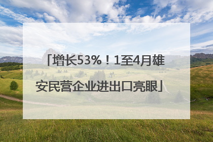 增长53%！1至4月雄安民营企业进出口亮眼