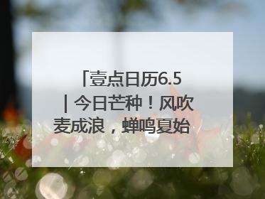壹点日历6.5｜今日芒种！风吹麦成浪，蝉鸣夏始忙！大家早安