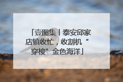 壹图集丨泰安邱家店镇收忙，收割机“穿梭”金色海洋