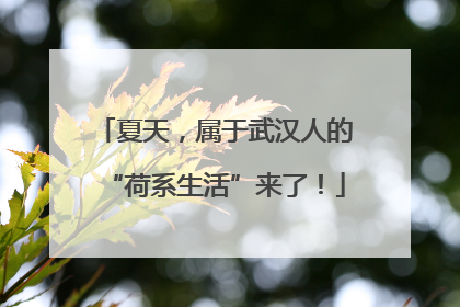 夏天，属于武汉人的“荷系生活”来了！