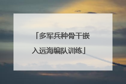 多军兵种骨干嵌入远海编队训练