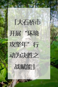 大石桥市开展“环境攻坚年”行动为决胜之战赋能