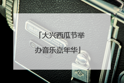 大兴西瓜节举办音乐嘉年华