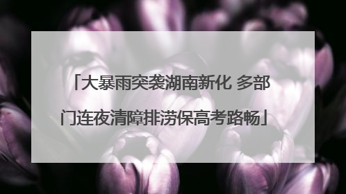 大暴雨突袭湖南新化 多部门连夜清障排涝保高考路畅