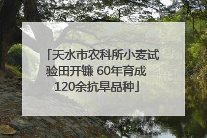 天水市农科所小麦试验田开镰 60年育成120余抗旱品种