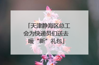 天津静海区总工会为快递员们送去暖“新”礼包