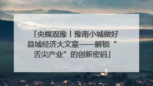 央媒观豫丨豫南小城做好县域经济大文章——解锁“舌尖产业”的创新密码