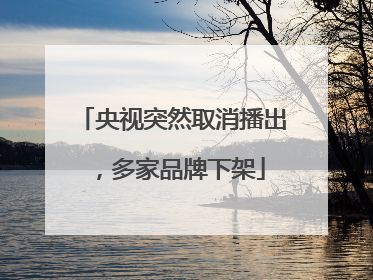 央视突然取消播出，多家品牌下架