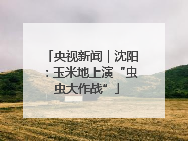 央视新闻｜沈阳：玉米地上演“虫虫大作战”
