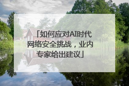 如何应对AI时代网络安全挑战，业内专家给出建议