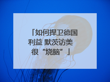 如何捍卫德国利益 默茨访美很“烧脑”
