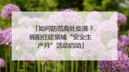 如何防范高处坠落？绵阳住建领域“安全生产月”活动启动