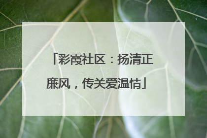 彩霞社区：扬清正廉风，传关爱温情