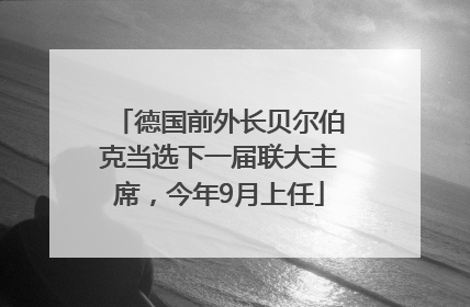 德国前外长贝尔伯克当选下一届联大主席，今年9月上任