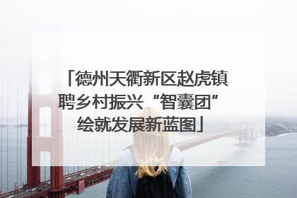 德州天衢新区赵虎镇聘乡村振兴“智囊团” 绘就发展新蓝图