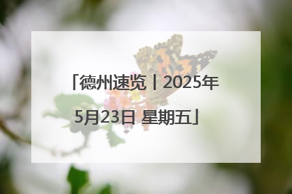 德州速览丨2025年5月23日 星期五