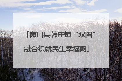微山县韩庄镇“双圈”融合织就民生幸福网