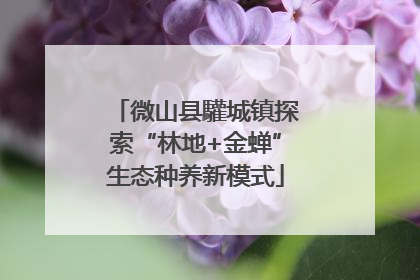 微山县驩城镇探索“林地+金蝉”生态种养新模式