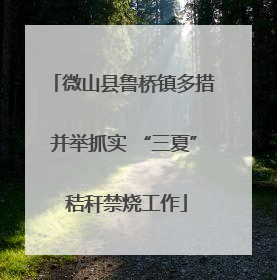 微山县鲁桥镇多措并举抓实 “三夏” 秸秆禁烧工作