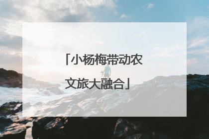 小杨梅带动农文旅大融合
