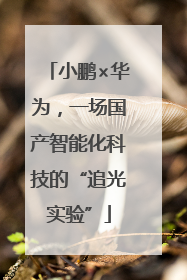 小鹏×华为，一场国产智能化科技的“追光实验”