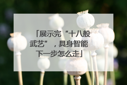 展示完“十八般武艺”，具身智能下一步怎么走