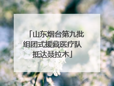 山东烟台第九批组团式援藏医疗队抵达聂拉木