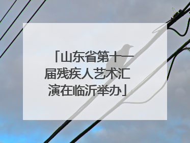 山东省第十一届残疾人艺术汇演在临沂举办